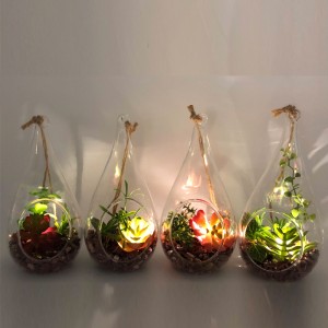 Plantas suculentas artificiales decorativas de sobremesa de cristal del LED con el florero de la exhibición del globo