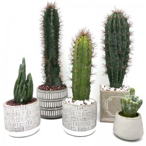 Cactus Artificial moderno hogar u oficina en maceta decorativa decoración suculenta